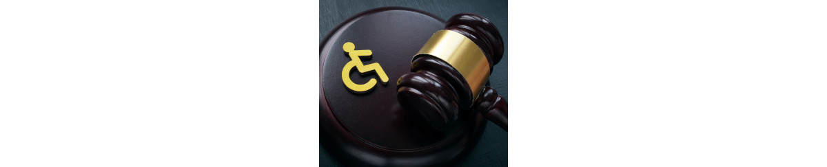 Understanding Accessibility in Canada with Max Brault