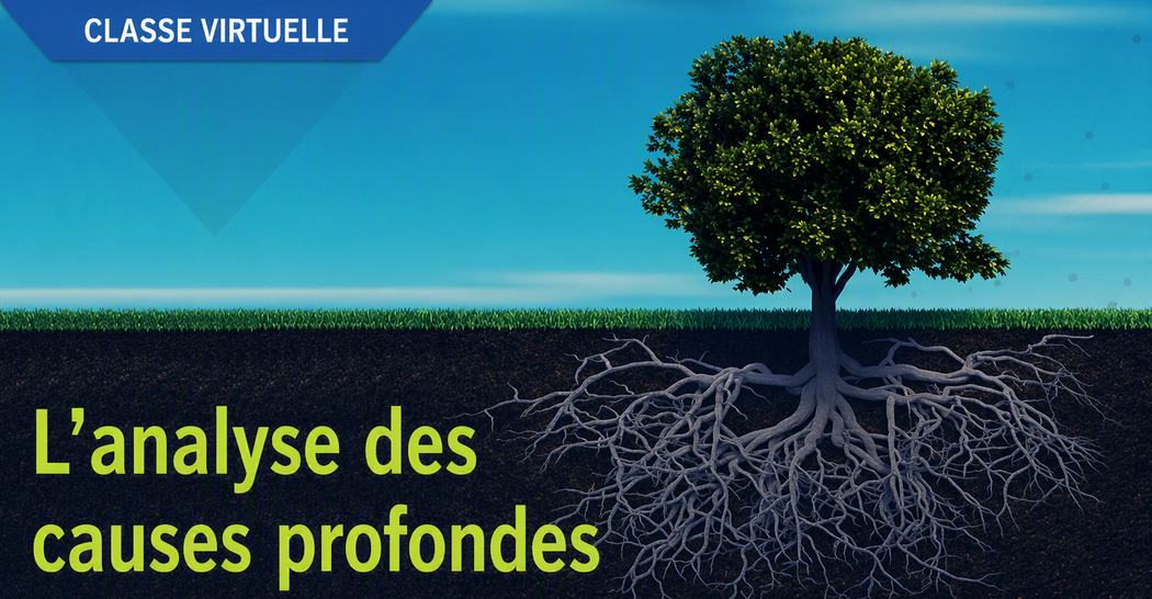 L&rsquo;analyse des causes profondes